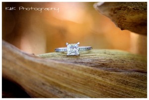 Engagement-Ring-Pictures